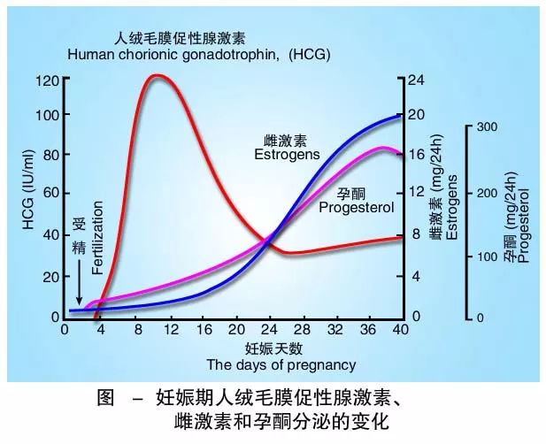 懷孕期間HCG低怎么辦？